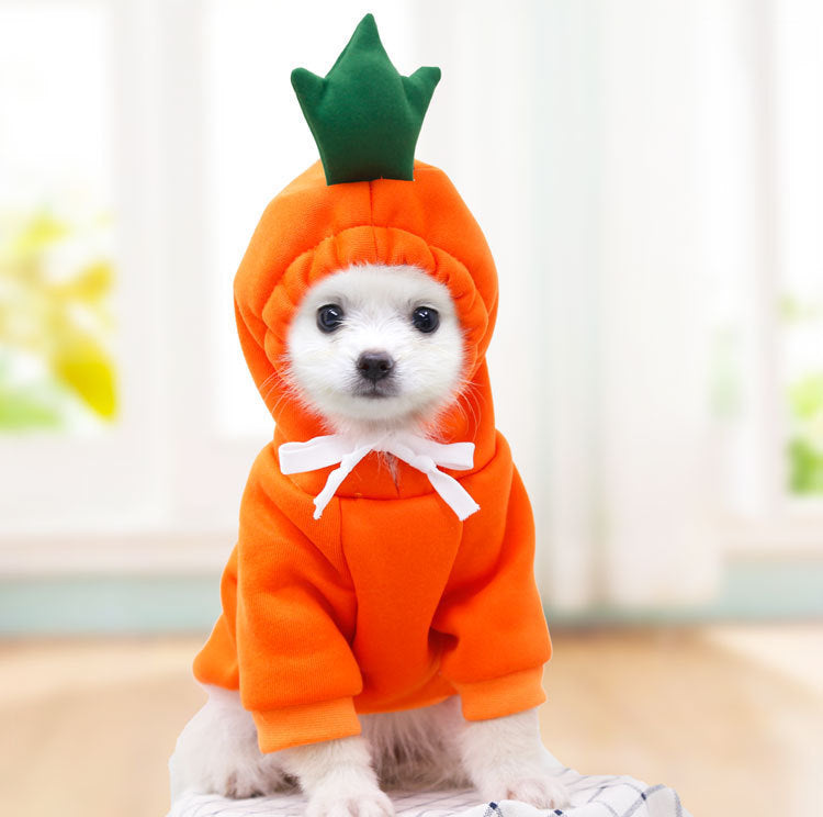 Cute Clothing for Small Dogs - My Fun Pet