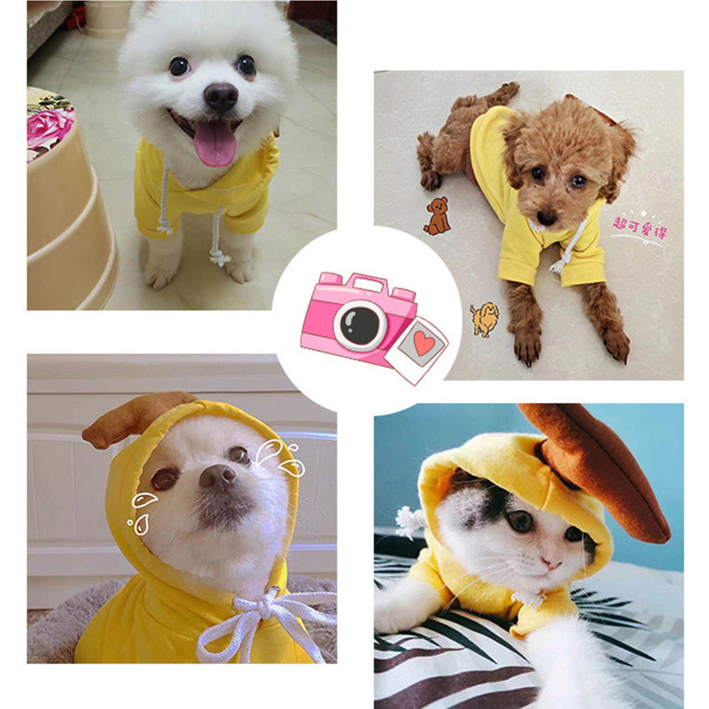 Cute Clothing for Small Dogs - My Fun Pet