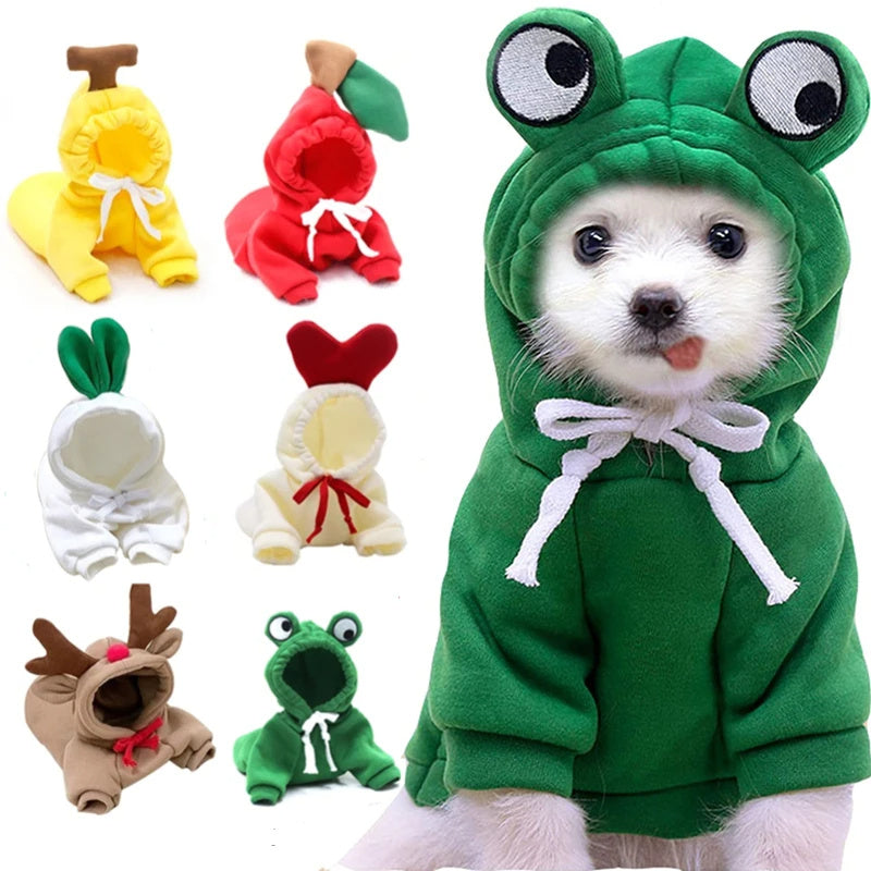 Cute Clothing for Small Dogs - My Fun Pet