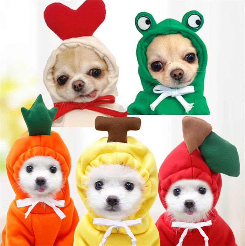 Cute Clothing for Small Dogs - My Fun Pet