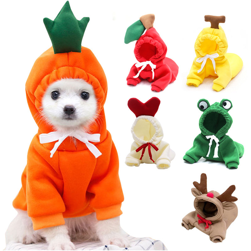 Cute Clothing for Small Dogs - My Fun Pet